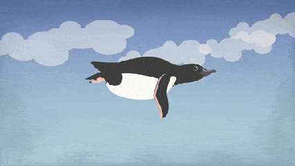 飞翔的企鹅下载图标