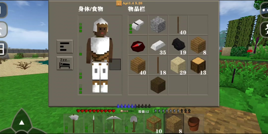 生存战争3.1扩展版安装包