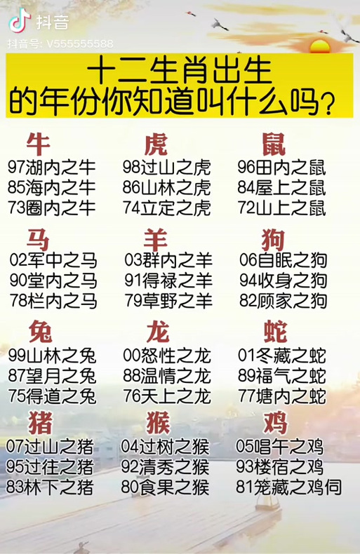 山头火命最佳配偶属相