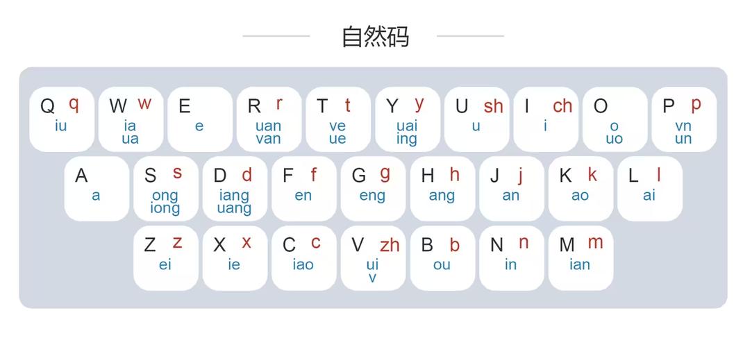 双拼打字训练app