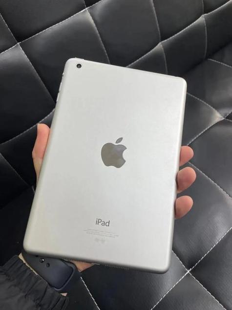 ipadmini2