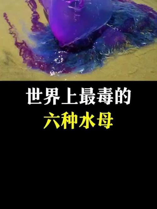 水母有毒吗
