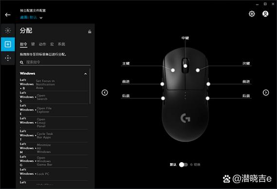 罗技gpw驱动在哪下