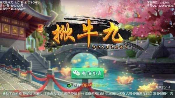 赵媛媛教师全文免费阅读免费版