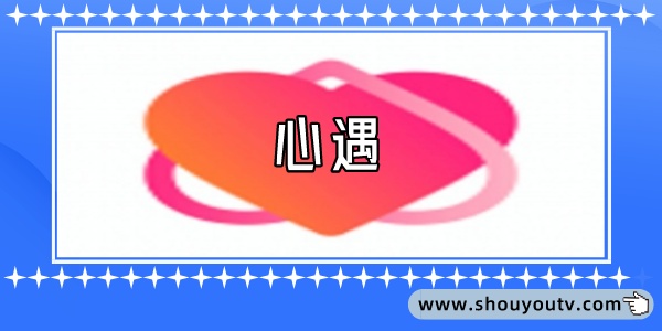 苏州婚姻调查中文版