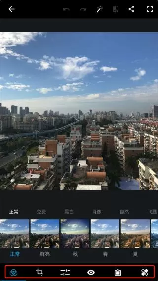 丁宁退役入学北大免费版