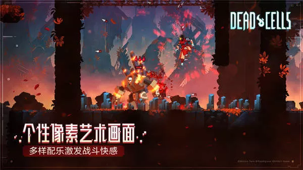 刘嘉玲夸易烊千玺最新版