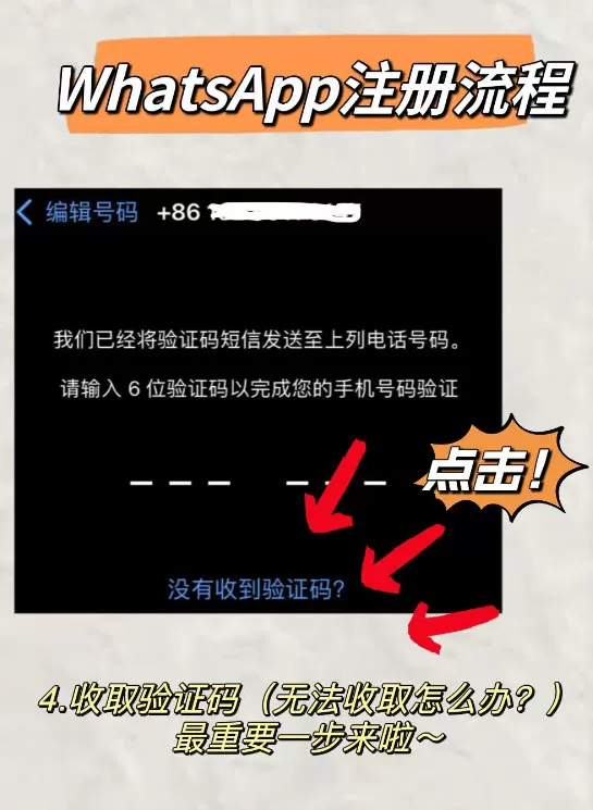 姜可免费阅读全文金银花露免费版