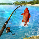 钓鱼模拟器3D-钓鱼模拟器3d下载