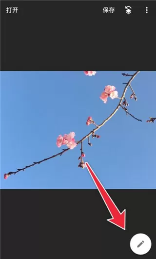 樱花草日本在线WWW官网