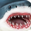 终极鲨鱼模拟器全部鲨鱼解锁版-终极鲨鱼模拟器全部鲨鱼解锁版下载