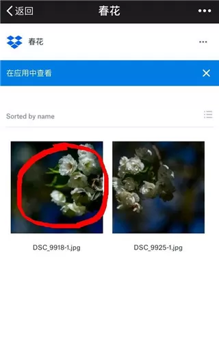 黑白娱乐网中文版