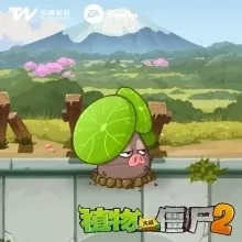 黑道王妃傻王爷免费版