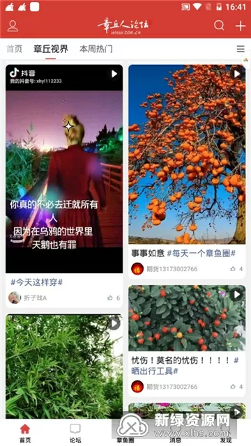 花粥致歉