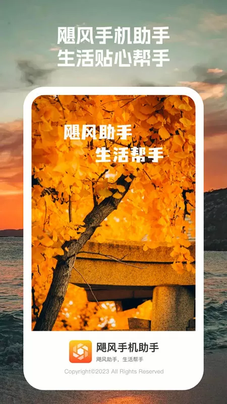 林丽娴