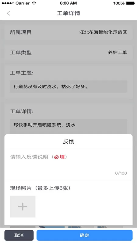 进口车厘子价格大跳水中文版