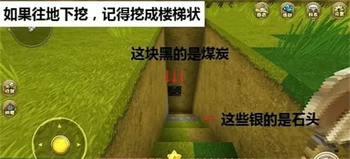 摸胸捐款最新版