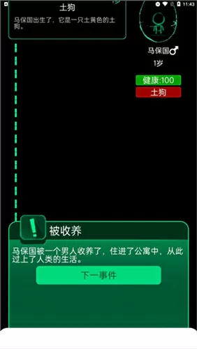 翼装飞行直播摔死完整最新版