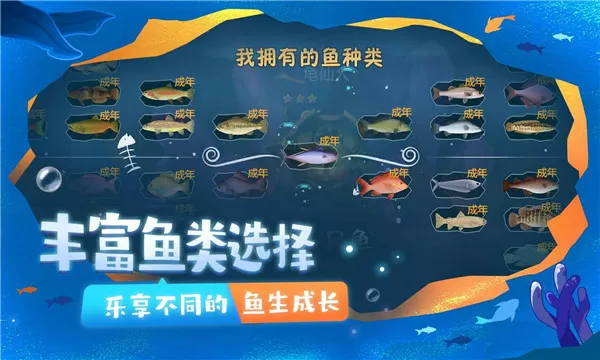 我是大神仙时江小说最新版