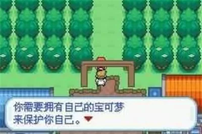 白宫回应拜登道歉最新版