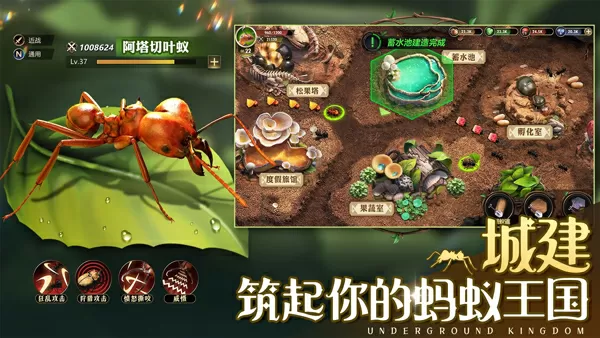 天才风水师最新版