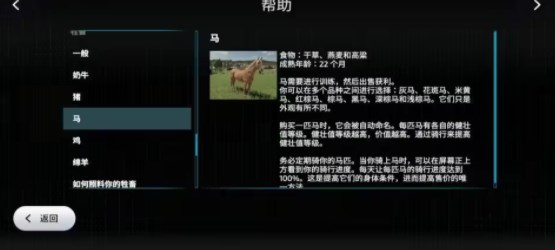 美要求沙特与中国保持距离中文版