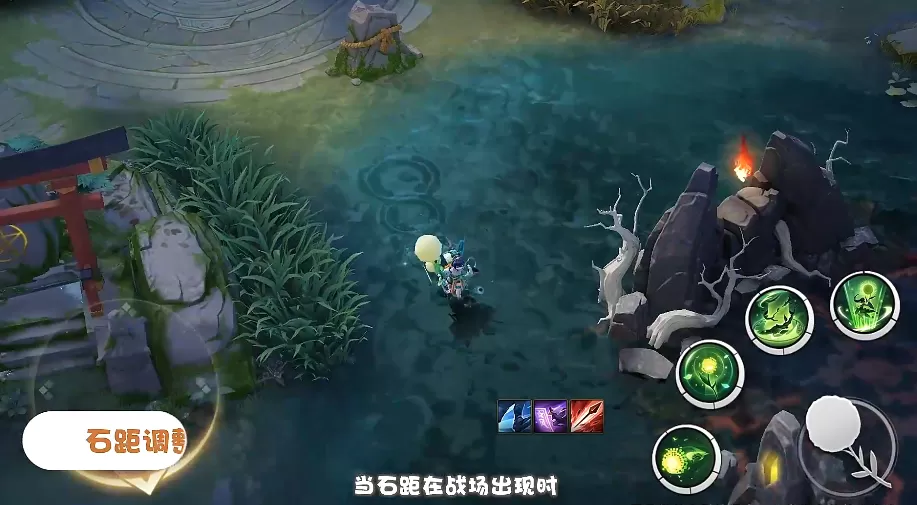 1V1多肉质量好的文笔推荐最新版