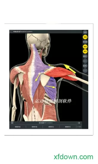 魔鬼搭讪学下载