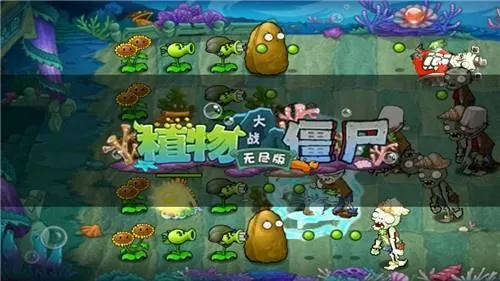 厦门招聘信息中文版