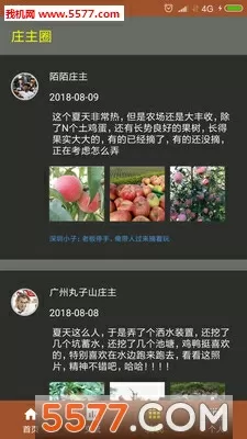 方若宁霍凌霄全文阅读免费