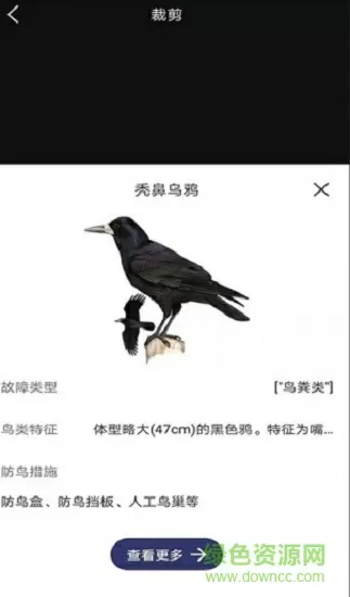 高考陪读妇乱子伦小说长篇