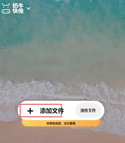 花儿与少年许晴免费版