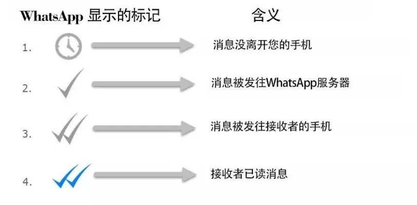 小宋当家全集免费版