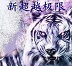 大学足球教练王猛陈磊第32课免费版