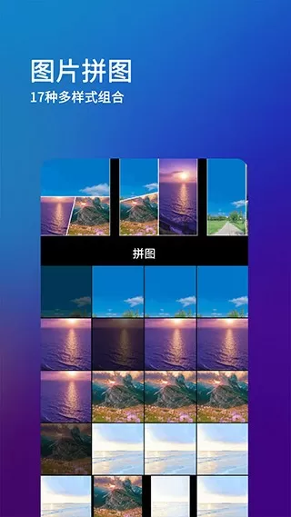 阿斌房东太太是什么梗中文版