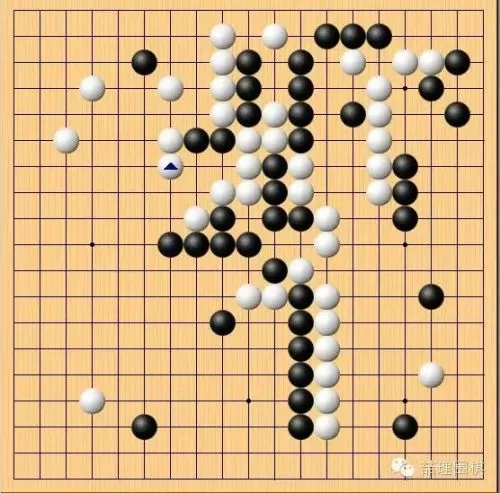 相爱有多难全文免费阅读最新版