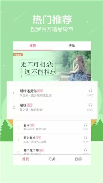 小丑菊花图片大全最新版