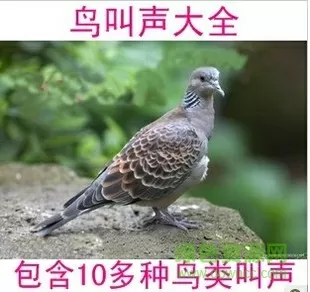 两根缓慢的往里挺