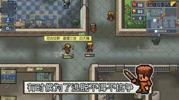 美女露100%双奶头无遮挡免费免费版