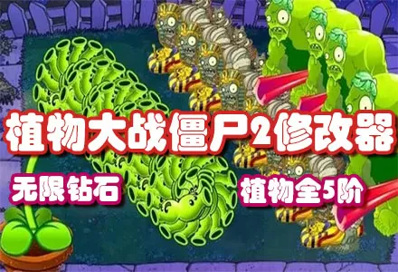 郑元畅整容中文版