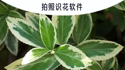 林小水的荡生活H全文阅读