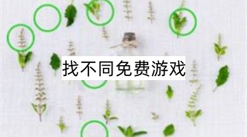 苏家有女苏杳TXT阅读最新版