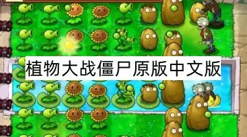 春节 楼市最新版