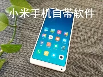 再把腿X开一点就可以吃到扇贝中文版