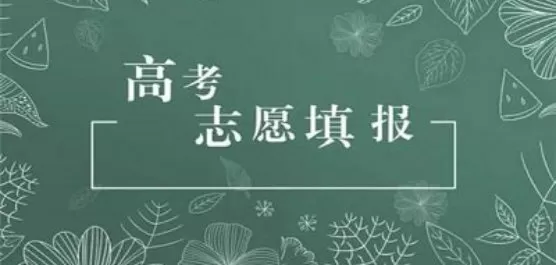 2020麻豆传媒女主颜值排行榜最新版