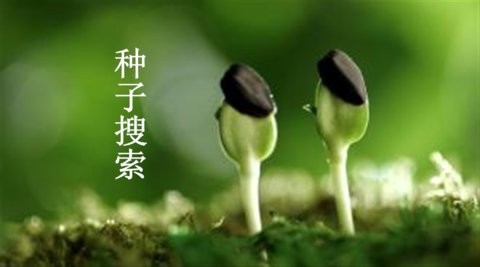 埃及艳后 卫风最新版