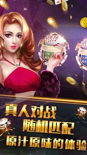 海豚湾恋人图片最新版