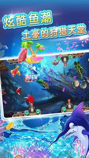 《水泄不通》金银花露海棠免费版