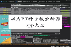 央视网评粉丝经济中文版
