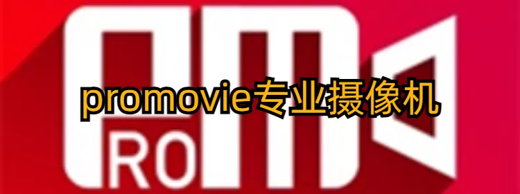 彭佳慧老公免费版